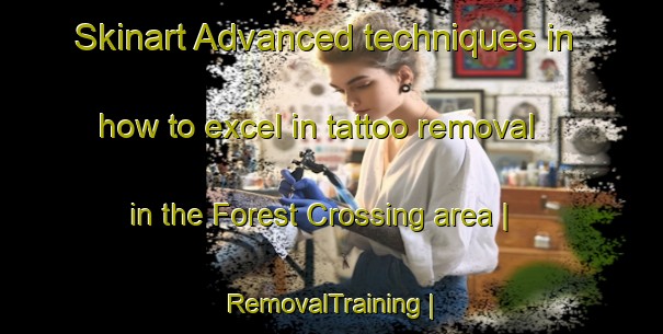 Skinart Advanced techniques in how to excel in tattoo removal in the Forest Crossing area | RemovalTraining | RemovalClasses | SkinartTraining-United States